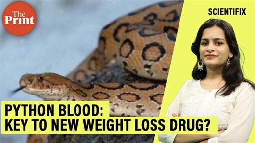 Python blood may hold the key to new weight-loss drugs | ThePrint