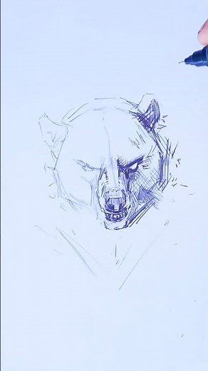 How to draw a bear sketch