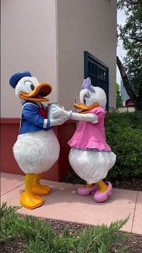 Happy Birthday Donald Duck!
