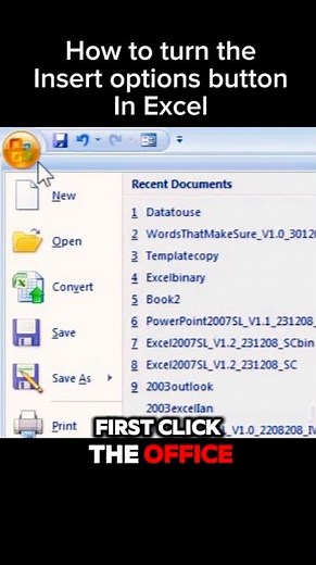 How to Turn On Insert Options Buttons in Excel | Quick Guide
