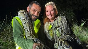 Python hunter's one-month killing spree sets new standard for snake incentive program