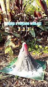 144 reactions · 25 shares | We lava National Science Week so much we’re exploding with excitement!  Did you know mixing our Bi-Carb Soda with vinegar creates this fun reaction? Click the link below to get scientific this week. https://www.mckenziesfoods.com.au/recipe/kids-activity-erupting-volcano/ | McKenzie's Foods | Facebook