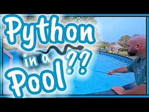 Python in a Pool??