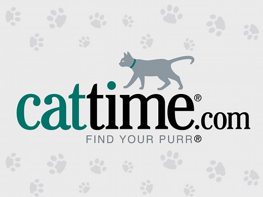 Cat Breeds - Types of Cats