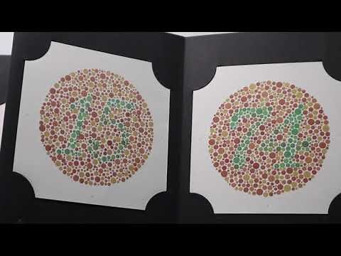 Ishihara Test in Action: A Real-Time Colorblindness Test