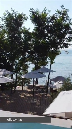 159 reactions | Exclusive 10% discount only with direct bookings using code Olive10! ☀️ Benefits included: Direct beach access – No roads to cross for instant seaside bliss Beach with crystal-clear waters Complimentary sun loungers & umbrellas by the beach Saltwater infinity pool (Dead Sea minerals included) Seaside terrace breakfast with panoramic sea views Free private parking for all guests | Olive Villas | Facebook