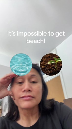 Transform Your Space with Nature Inspiration