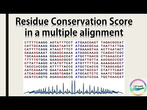 Residue Conservation Score in a Multiple Alignment