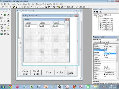 VB6 Font Dialog Program | Change Font, Size & Style in Visual Basic 6.0 | RYCTC