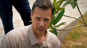 33K views · 581 reactions | An 8-foot Indian rock python is discovered trapped in a busy train depot. | National Geographic Animals | Facebook