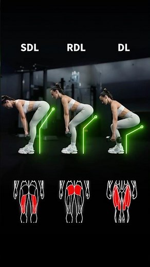 The difference between an SDL, RDL and DL - and which muscles they primarily target! 😌💪🏼 #shorts