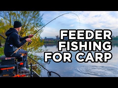 Fishing For Carp With Long Range Feeder Tactics and Advice