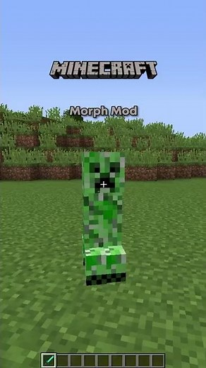 Minecraft Morph Mod!