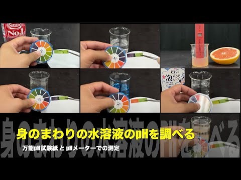 身のまわりの水溶液のpHを調べる【万能pH試験紙とpHメーター】