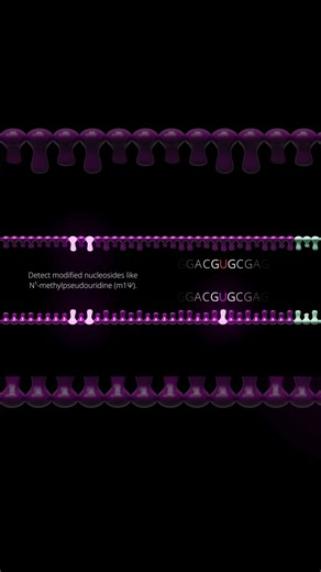 Every Aspect of mRNA Quality In One Go