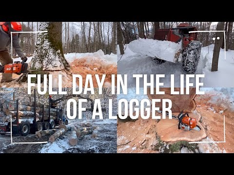 Full day of logging!