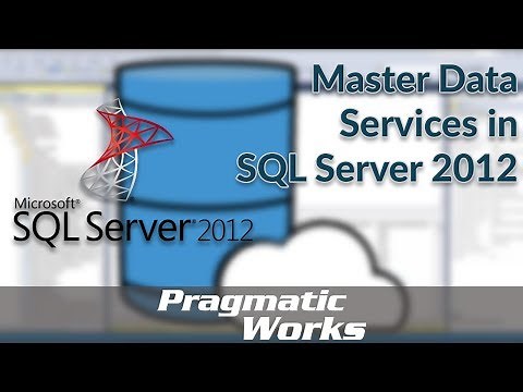 Master Data Services in SQL Server 2012
