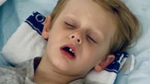 Parents describe the horrifying moment python attacked their son (7 News)