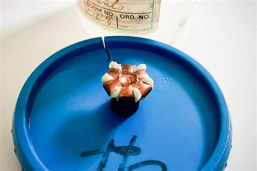 Impact Expansion Bullets: The Better “Hollow Point”? - Guns and Ammo