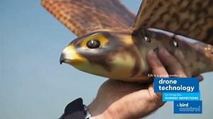 2.2K views · 119 reactions | Did you know? EIA is a global leader in adopting and using drone technology in aviation. With private partners we use drones for bird control, runway inspections and are supporting drone delivery trials. flyeia.com/drones #innovation #drone #robird #technology #yegtech | Edmonton International Airport | Facebook