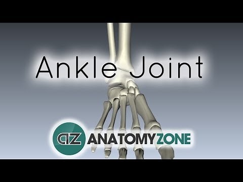 Ankle Joint - 3D Anatomy Tutorial