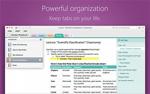 Microsoft Onenote For Mac Support