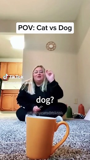 Funny Cat vs Dog Videos | Hilarious Pets Compilation