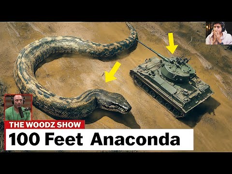 100 Feet Long Anaconda❗❗😱 World's Largest Snake