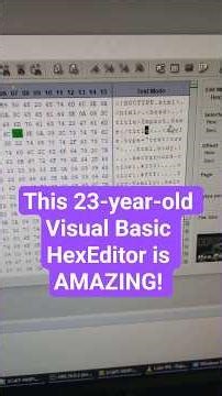 This 23-year-old Visual Basic HexEditor is AMAZING! #fyp #coding #nostalgia #windows