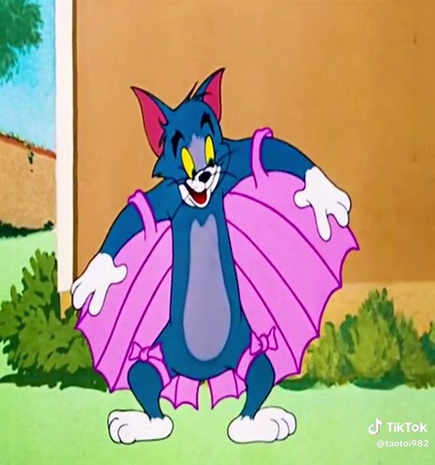 Tom and Jerry Cartoon Clips