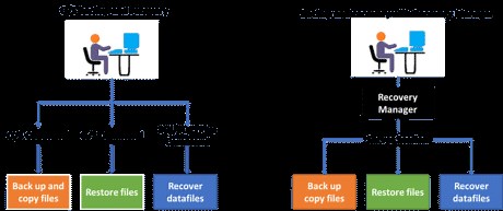 Oracle Database Backup, Restore, and Recovery: A Complete Guide