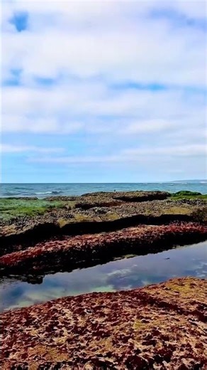 Peaceful Tide Pools | Ocean Reflections & Coastal Calm