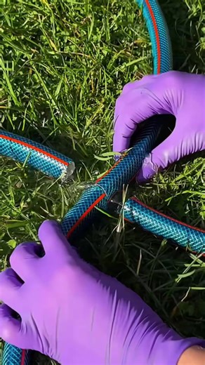 Top Book Recommendations for True Story Lovers