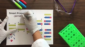 107K views · 1.3K reactions | QUICK TIPS for primer design. Learn more about all things oligos here: oak.ctx.ly/r/4u67c | Sample Prep for Science | Facebook