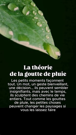 La théorie de la goutte de pluie