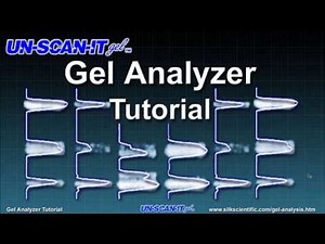 Gel Analyzer Tutorial