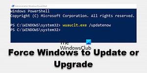 How to force Windows 11/10 to Update or Upgrade