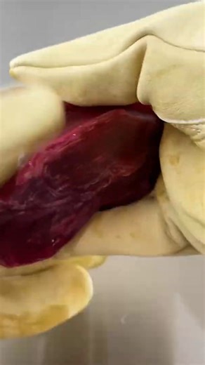 Coin Sorting Machine #explore | Rescue & Restore