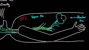 Alveolar gas equation - part 1