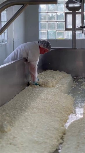139K views · 732 reactions | When we say that our artisan cheese is "handcrafted," we mean it - each step of the cheesemaking process is closely followed by our cheesemakers, which ensures our cheese's quality. Our hands-on approach ensures attention to craftsmanship and quality of the finished product. We may be a bit old-fashioned in our cheesemaking practices, but it's our tried-and-true traditions that make us a generational staple in Door County! | Renards Cheese | Facebook