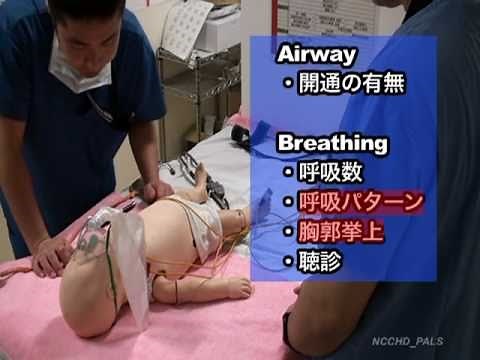 2. PALS 小児救急患者の初期診療：緩徐版