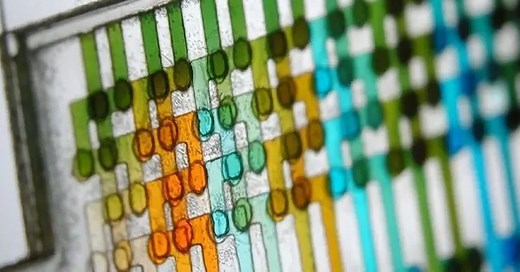 Introduction to Scanning Electron Microscopy (SEM)