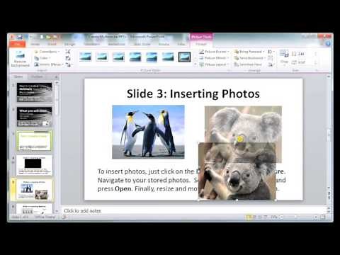 How to Create a Multimedia PowerPoint Presentation