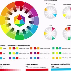Amazon.com: Color Theory Print with Color Wheel, Color Systems Guide for Designers and Artists : Home & Kitchen