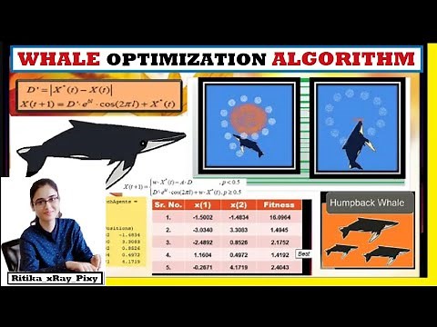 Whale Optimization Algorithm | Mathematical Model | Fitness Value 🐟🌿 ~xRay Pixy