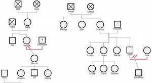 How To Make A Genogram on a Mac