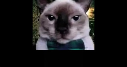 Lo subo otra vez, espero les sirva para que puedan jugar canciones como las que yo subo #fyppppppppppppppppppppppp #gh3 #guitarhero3 #tutorial