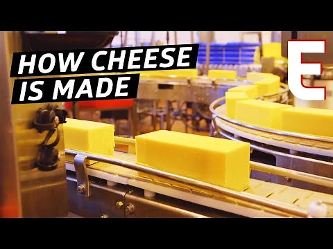 How Cheddar Cheese Is Made In a Factory — The Process
