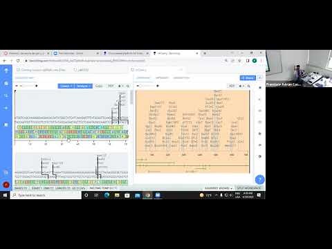 Tutorial de Benchling (Pte.2): Bases de datos y edición de secuencias