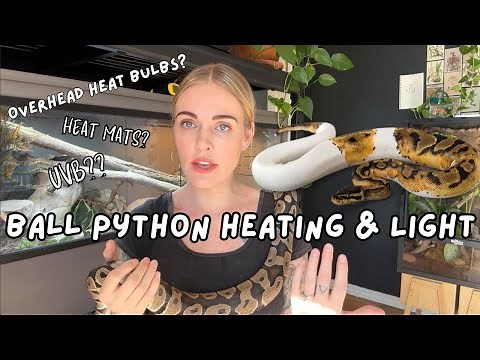 Ball Python Heating and Lighting
